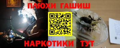 стафф Заводоуковск