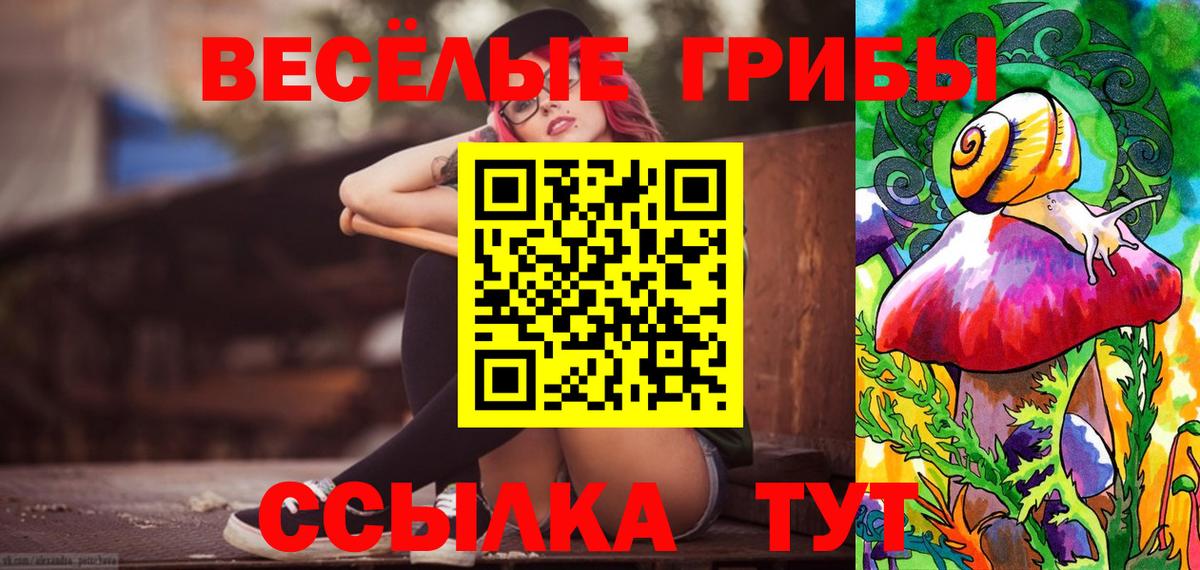 Псилоцибиновые грибы MAGIC MUSHROOMS Малгобек