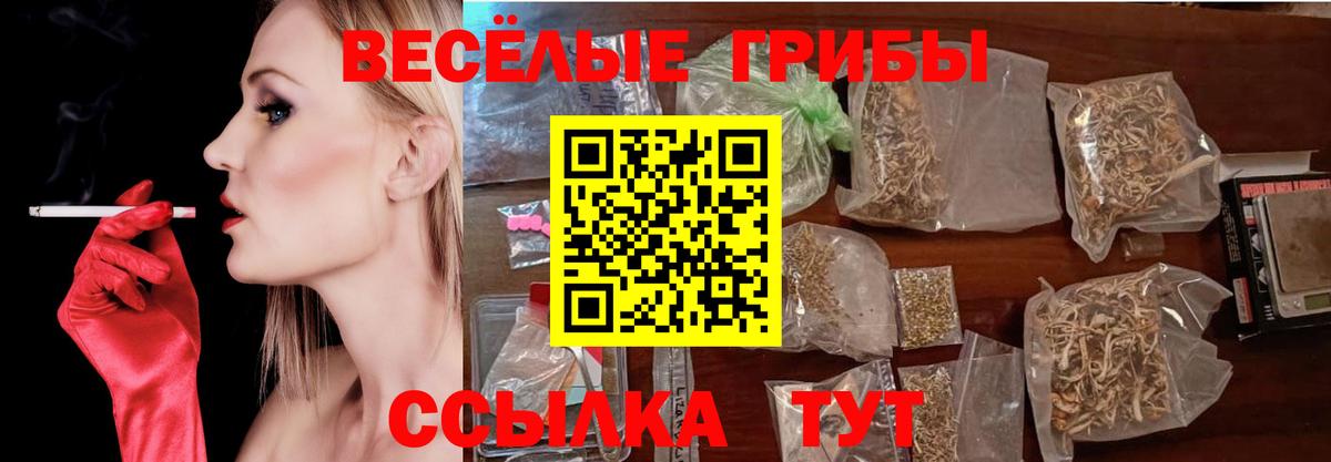 Галлюциногенные грибы Cubensis  Вход с VPN  Малгобек  Псилоцибиновые грибы мицелий 